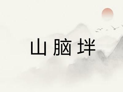 山脑坢
