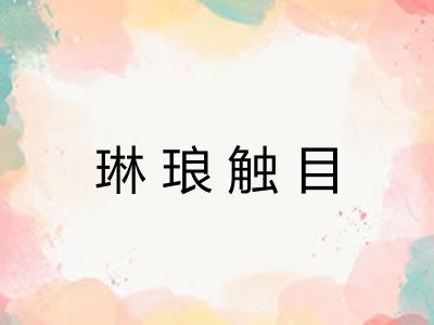 琳琅触目