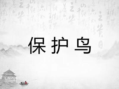 保护鸟
