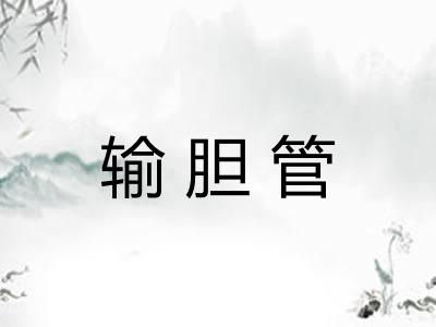 输胆管