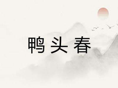 鸭头春