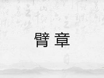 臂章