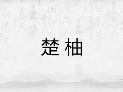楚柚