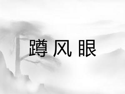 蹲风眼
