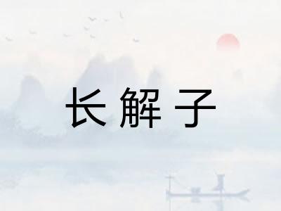 长解子