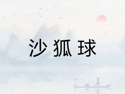 沙狐球