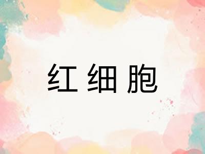 红细胞