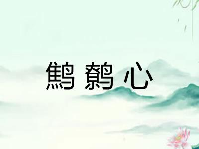 鹪鹩心