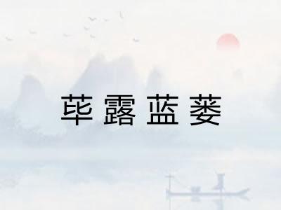 荜露蓝蒌
