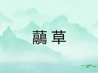 虉草