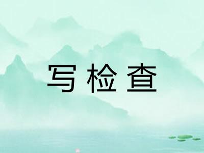 写检查