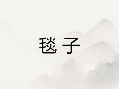 毯子