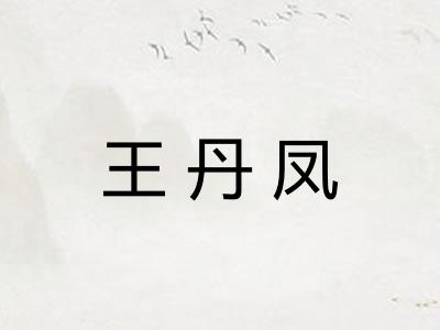 王丹凤