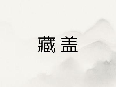 藏盖