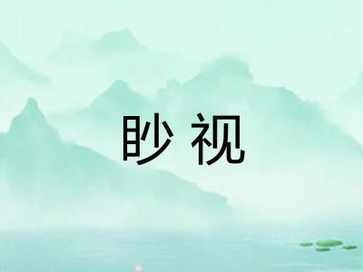 眇视