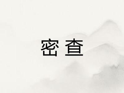 密查