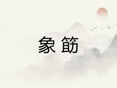 象筯