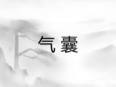 气囊