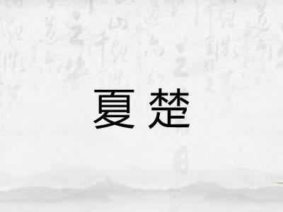 夏楚