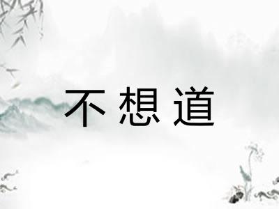 不想道