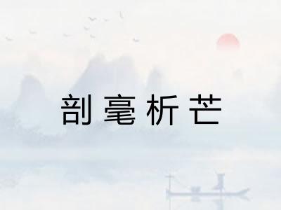 剖毫析芒