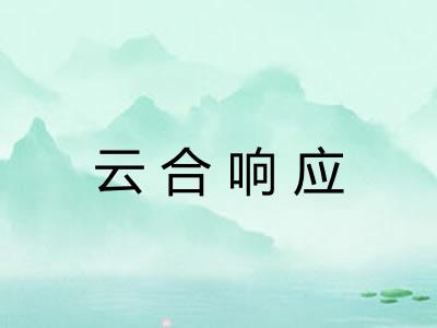 云合响应
