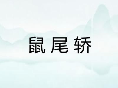 鼠尾轿