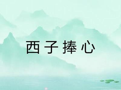 西子捧心
