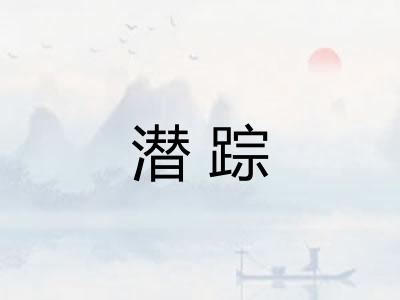 潜踪