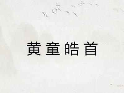 黄童皓首