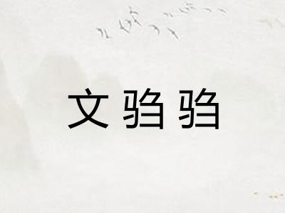 文驺驺