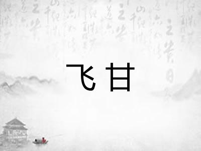飞甘