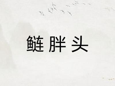 鲢胖头