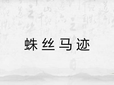 蛛丝马迹