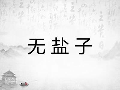 无盐子 无盐子