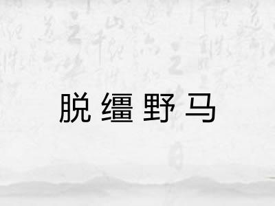 脱缰野马