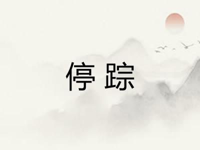 停踪