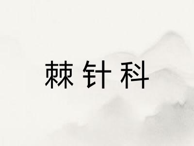 棘针科
