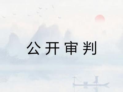 公开审判