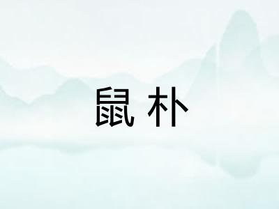 鼠朴