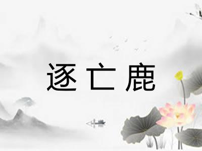 逐亡鹿