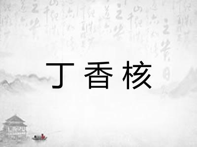 丁香核
