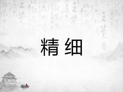 精细