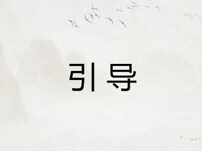 引导