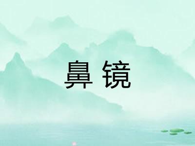 鼻镜