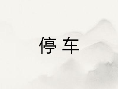停车