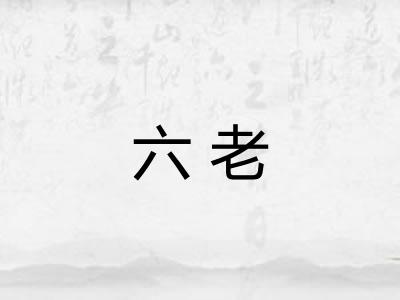 六老