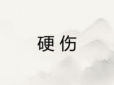 硬伤
