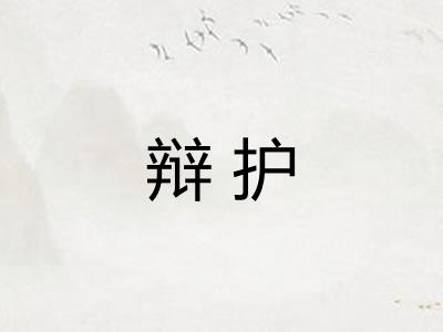 辩护