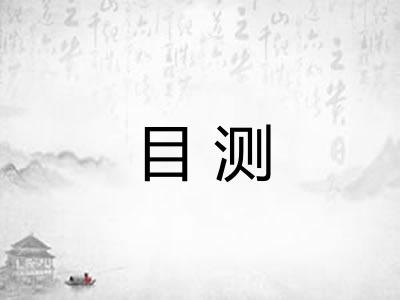 目测